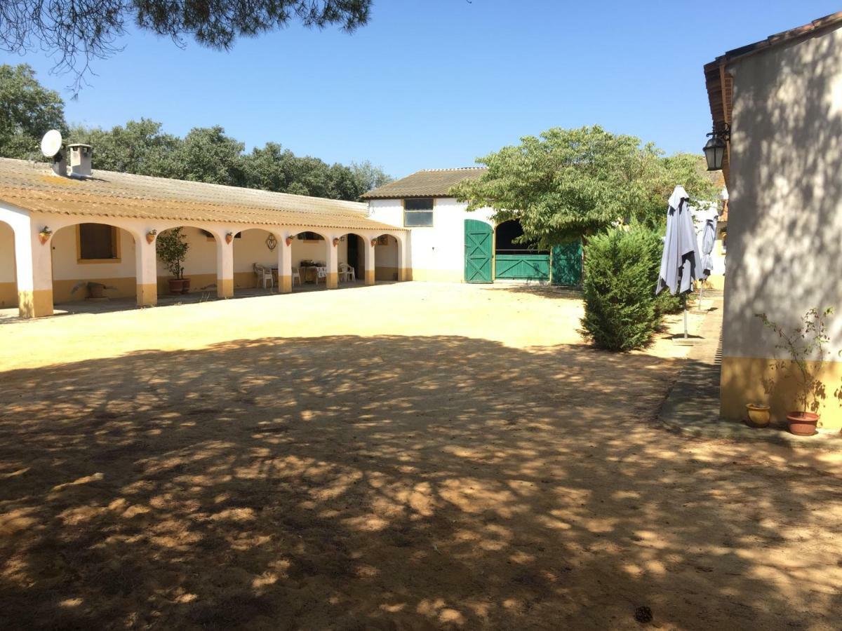 El Rocio 1 Gites Equestre Saintes-Maries-de-la-Mer Exteriér fotografie