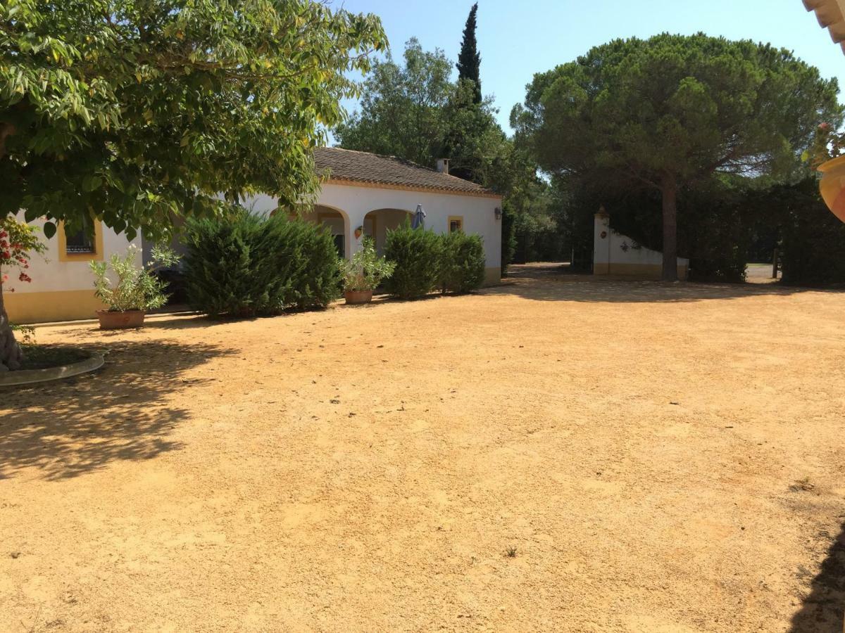 El Rocio 1 Gites Equestre Saintes-Maries-de-la-Mer Exteriér fotografie