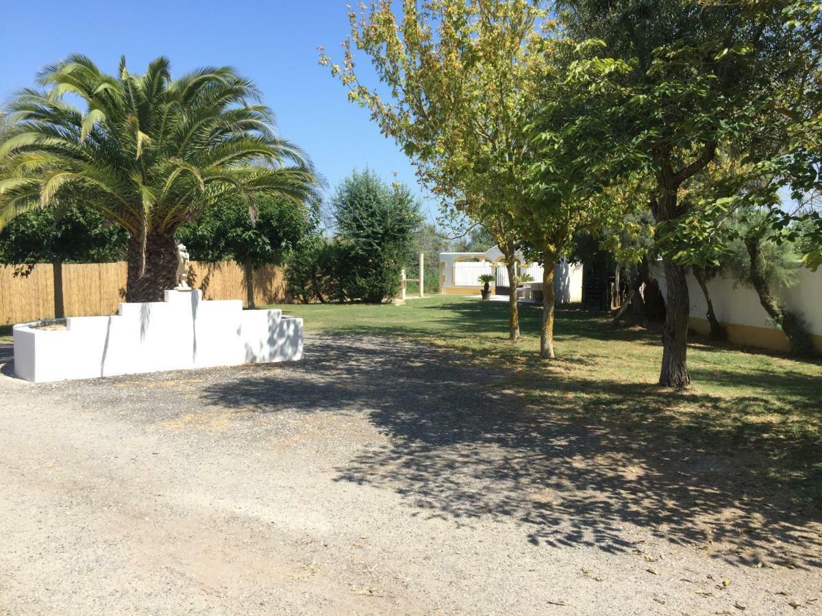 El Rocio 1 Gites Equestre Saintes-Maries-de-la-Mer Exteriér fotografie